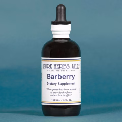 Barberry by Pure Herb