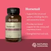 Horsetail (100 capsules) - Image 3