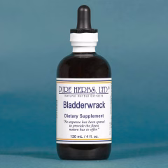 Bladderwrack Extract 4 fl. oz.