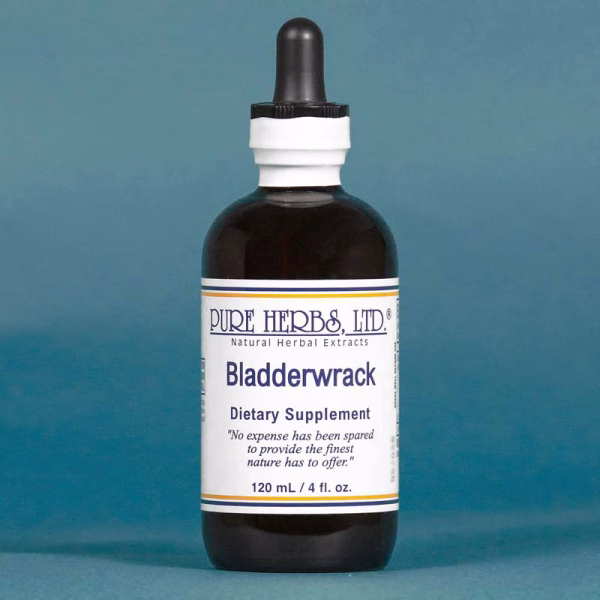 Bladderwrack Extract 4 fl. oz.