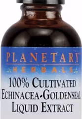 Echinacea-Goldenseal Extract 2 fl. oz.