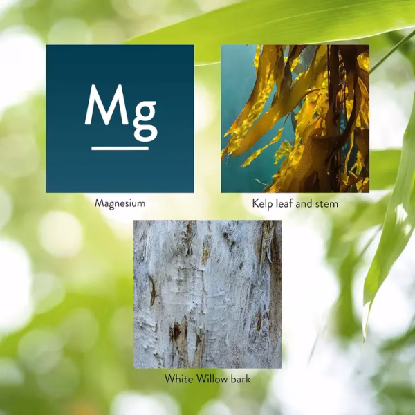 Magnesium (180 tablets) Nature's Sunshine - Image 4