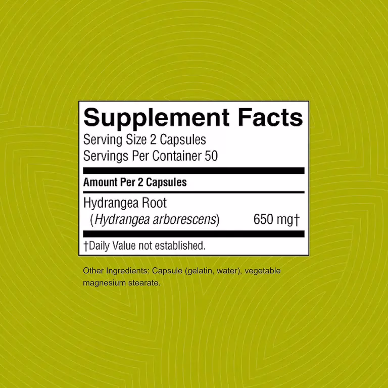 Hydrangea (100) NSP - Image 2