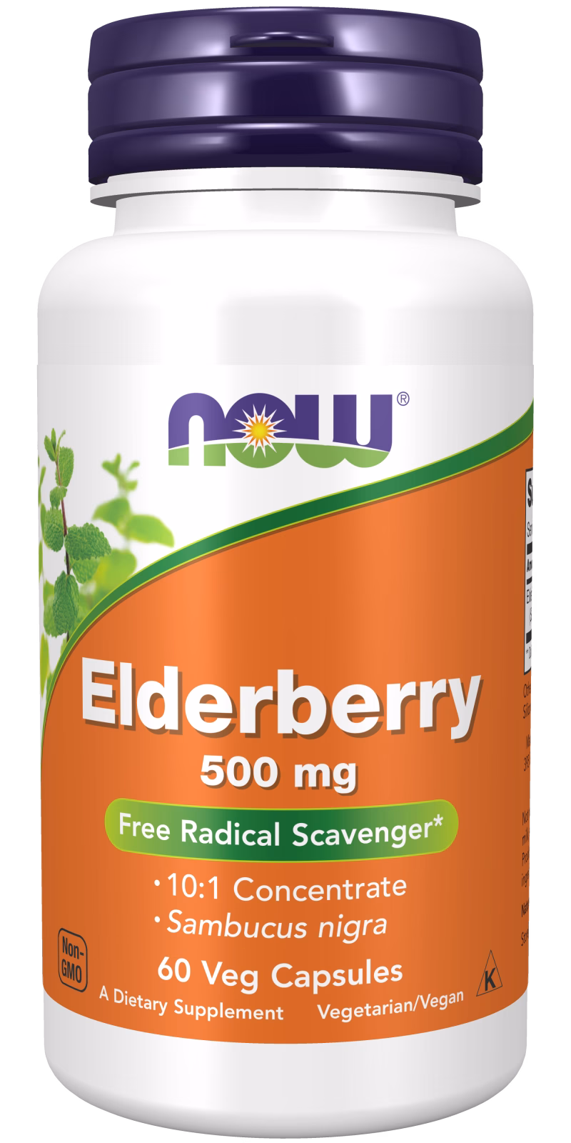 Elderberry 500 mg